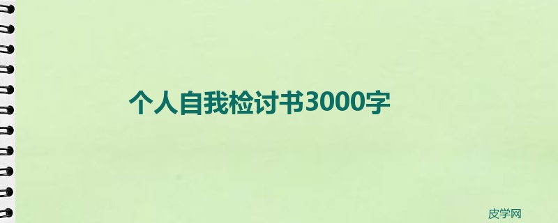 个人自我检讨书3000字