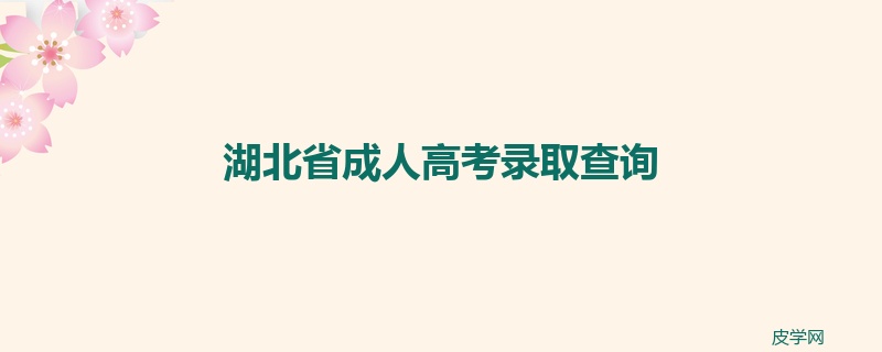 湖北省成人高考录取查询