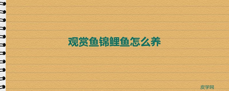 观赏鱼锦鲤鱼怎么养