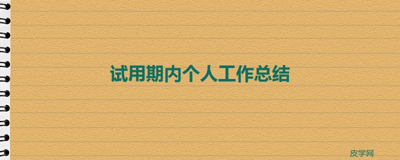 试用期内个人工作总结