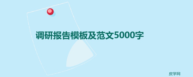 调研报告模板及范文5000字