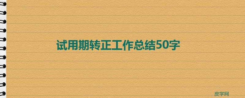 试用期转正工作总结50字