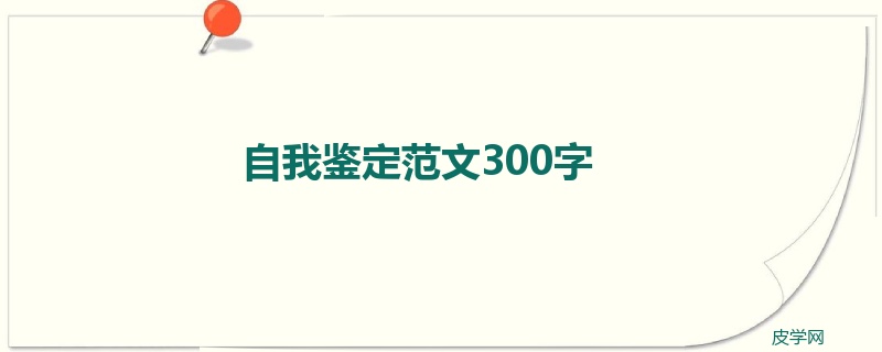 自我鉴定范文300字