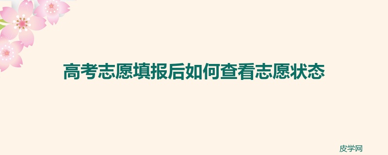 高考志愿填报后如何查看志愿状态