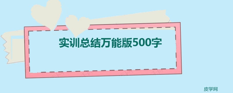 实训总结万能版500字