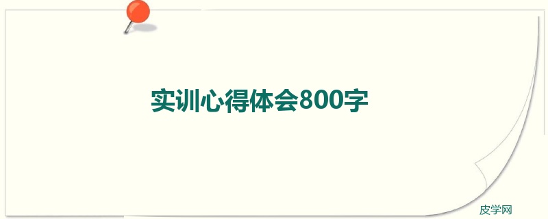 实训心得体会800字