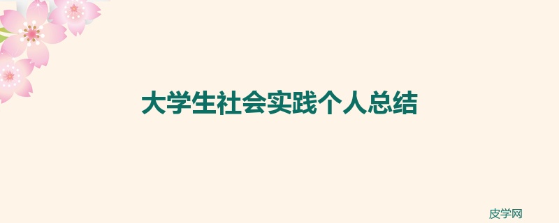 大学生社会实践个人总结