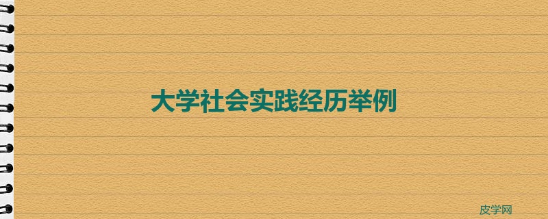 大学社会实践经历举例