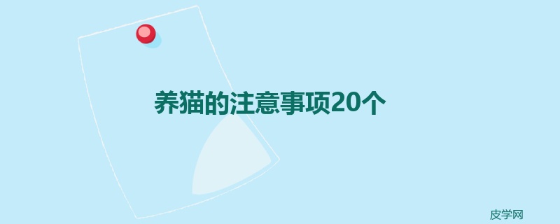 养猫的注意事项20个