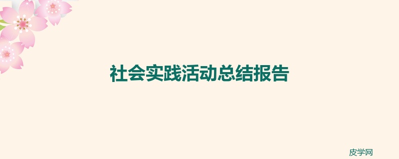 社会实践活动总结报告