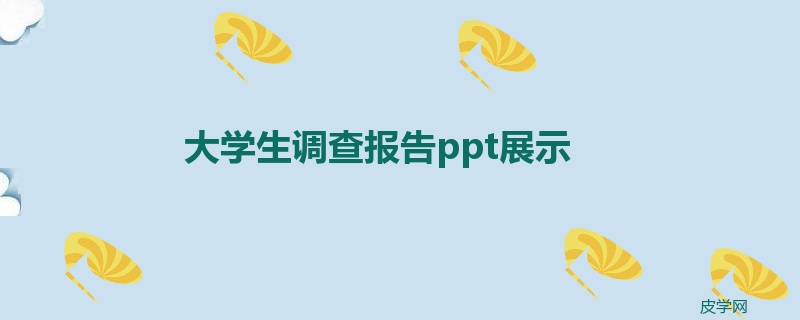 大学生调查报告ppt展示