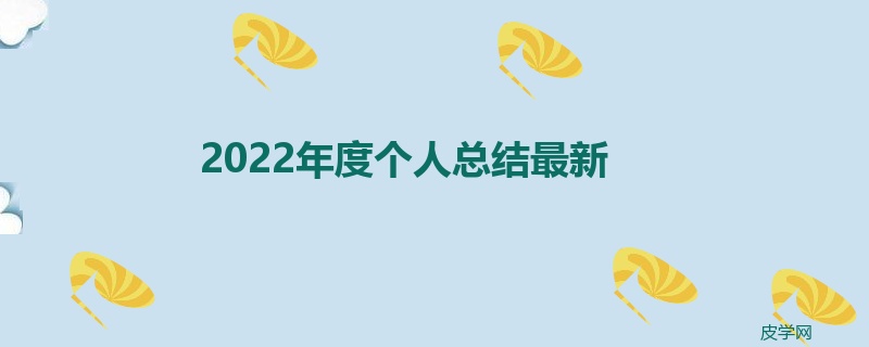 2022年度个人总结最新