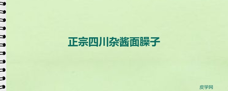 正宗四川杂酱面臊子