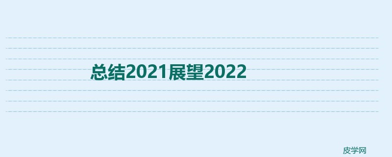 总结2021展望2022