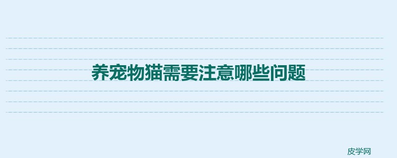 养宠物猫需要注意哪些问题