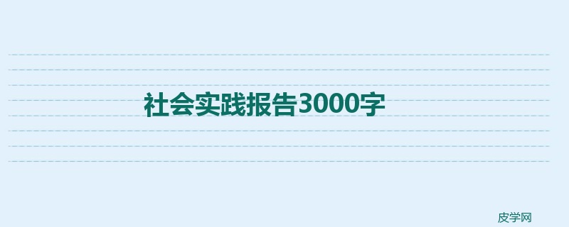 社会实践报告3000字