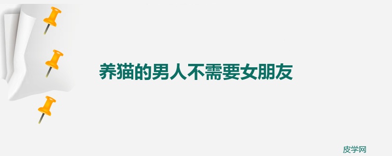 养猫的男人不需要女朋友