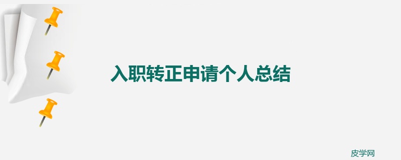 入职转正申请个人总结