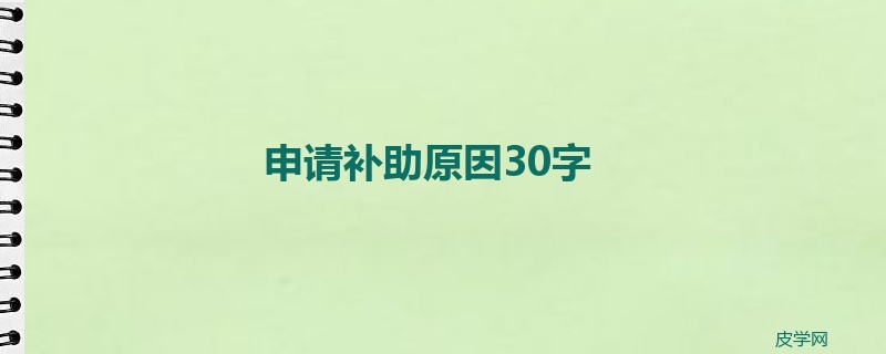 申请补助原因30字