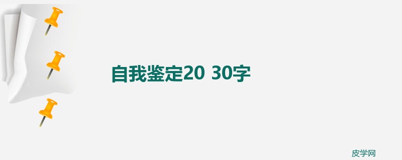 自我鉴定20 30字