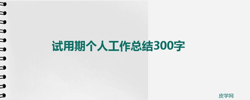 试用期个人工作总结300字