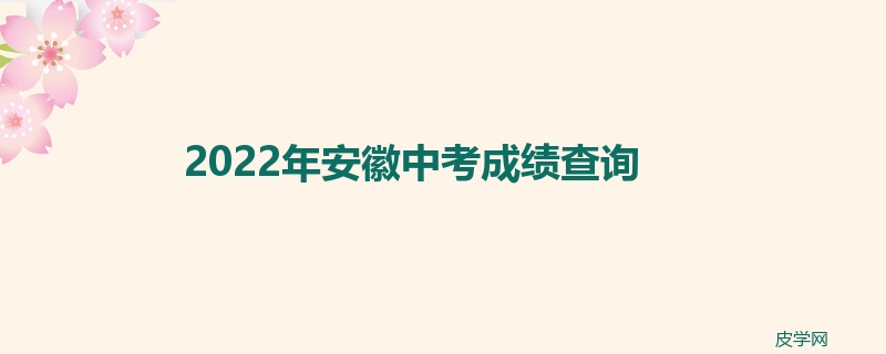 2022年安徽中考成绩查询