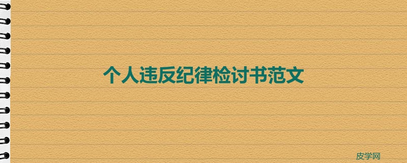 个人违反纪律检讨书范文