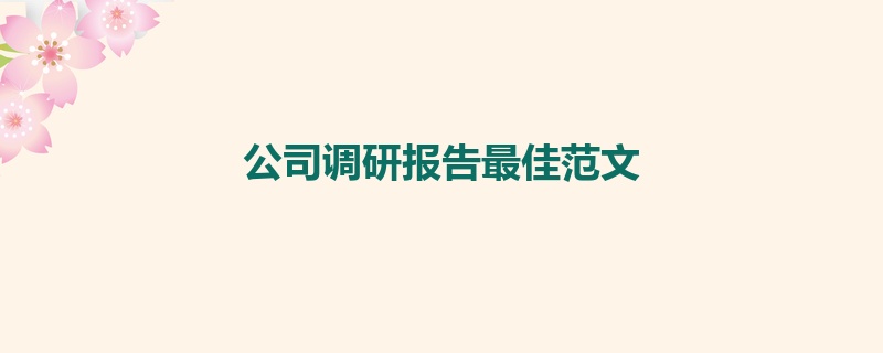 公司调研报告最佳范文