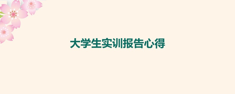 大学生实训报告心得