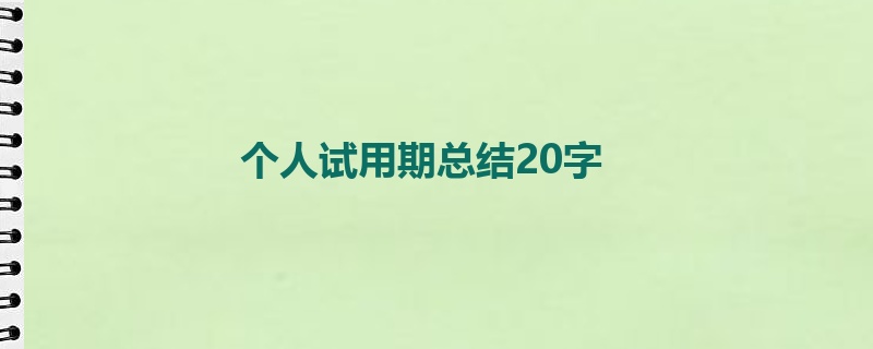 个人试用期总结20字