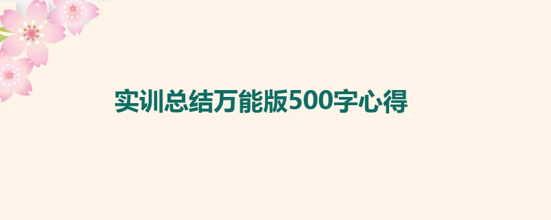 实训总结万能版500字心得