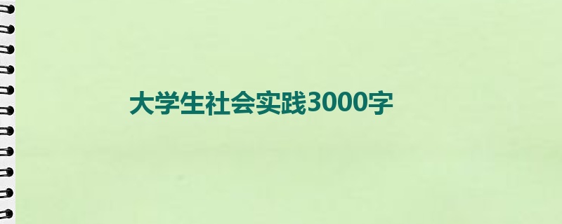 大学生社会实践3000字