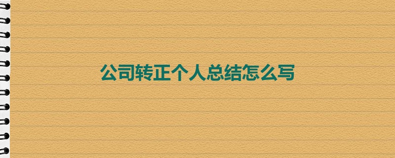 公司转正个人总结怎么写