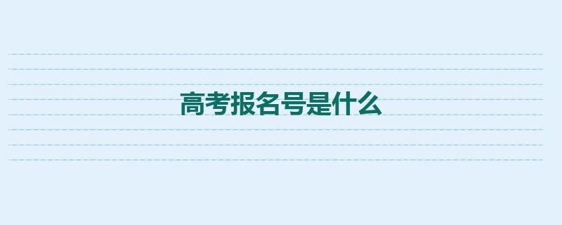 高考报名号是什么