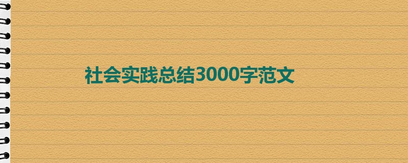 社会实践总结3000字范文