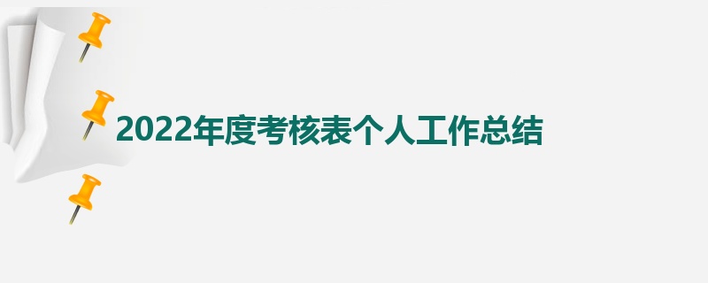 2022年度考核表个人工作总结