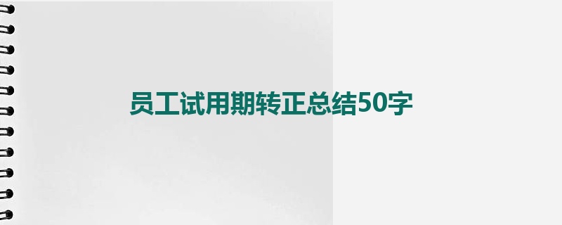 员工试用期转正总结50字