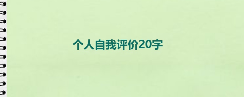 个人自我评价20字