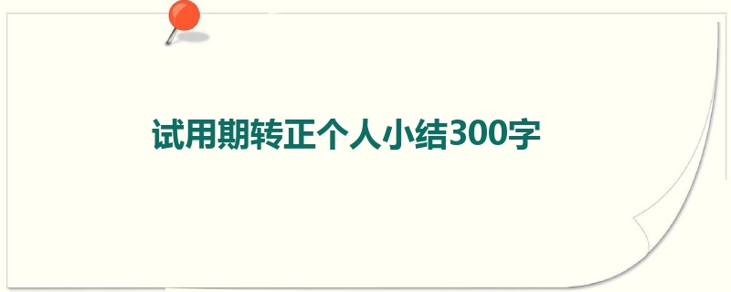 试用期转正个人小结300字