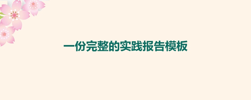 一份完整的实践报告模板