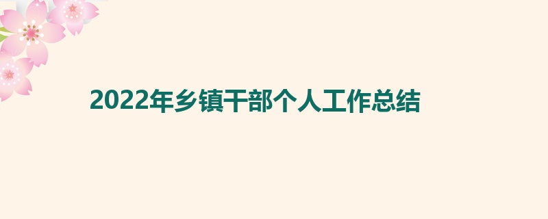 2022年乡镇干部个人工作总结