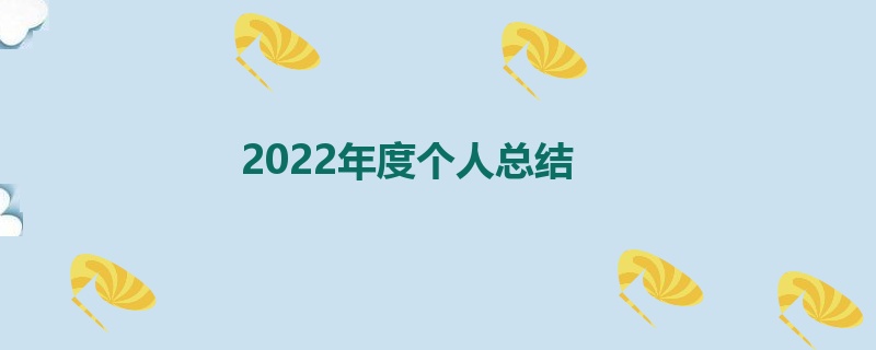 2022年度个人总结