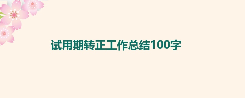 试用期转正工作总结100字