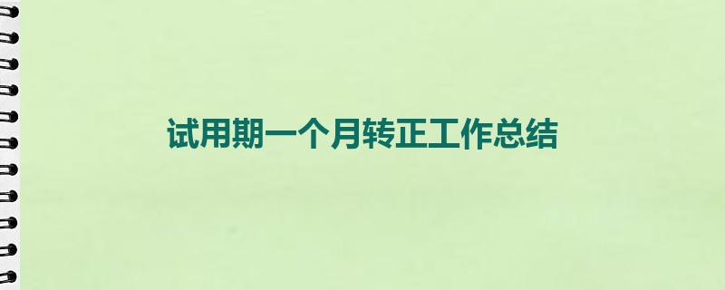 试用期一个月转正工作总结