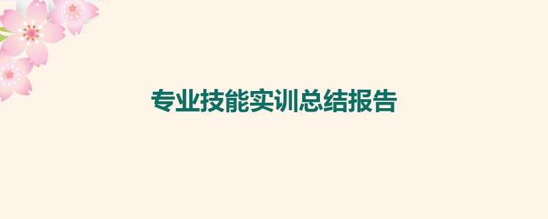 专业技能实训总结报告