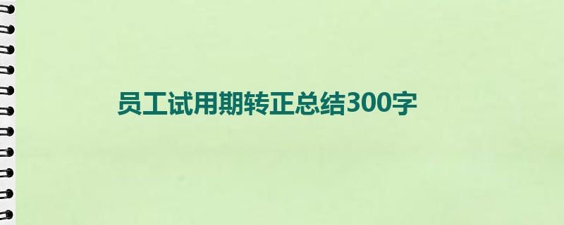 员工试用期转正总结300字