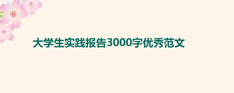 大学生实践报告3000字优秀范文