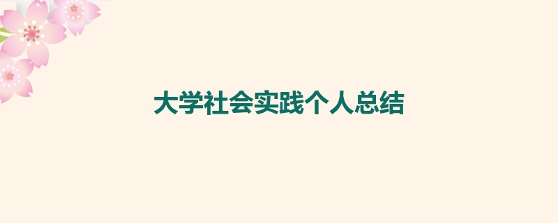 大学社会实践个人总结