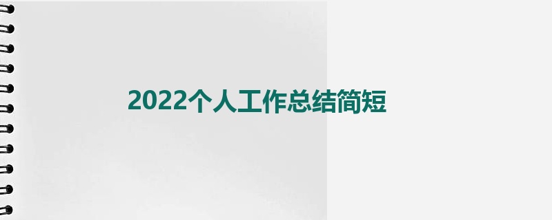 2022个人工作总结简短