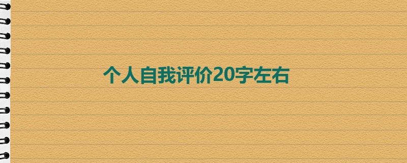 个人自我评价20字左右